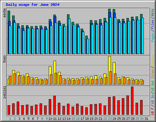 Daily usage for June 2024