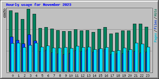 Hourly usage for November 2023