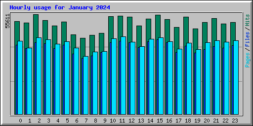 Hourly usage for January 2024