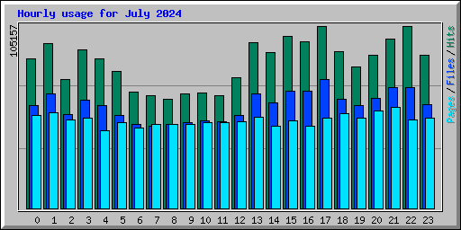 Hourly usage for July 2024